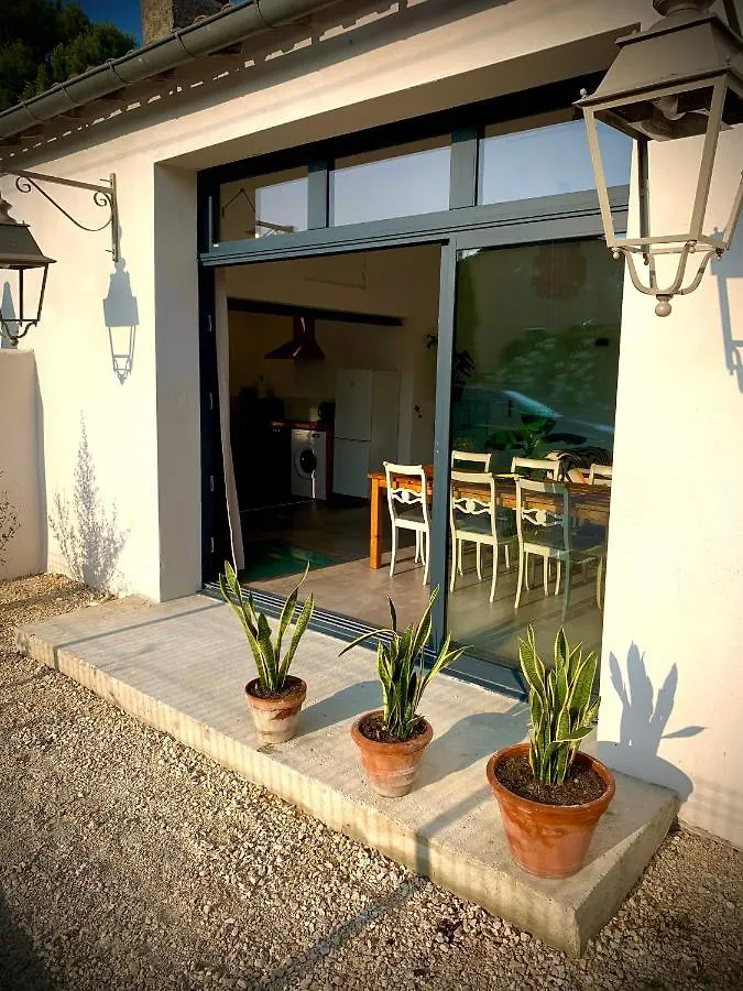 Viva La Vida Villa Entraigues-sur-la-Sorgue Holiday home